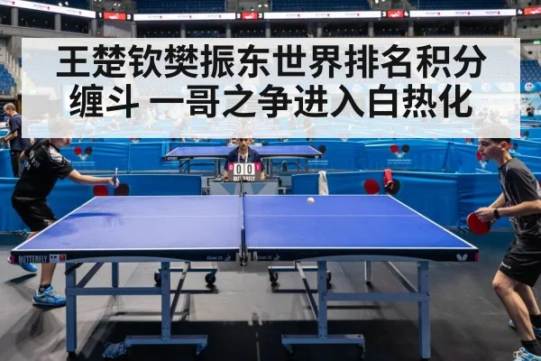 王楚钦樊振东世界排名积分缠斗 一哥之争进入白热化
